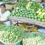 Mango season is here