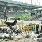 How you can help agency create garbage - free spaces