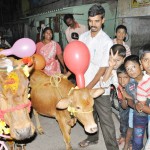 Pongal celebration in the neighbourhood