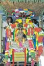 View The Teppam festival Album
