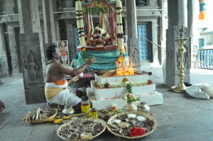Prayers, yagna for rain held at Sri Kapali Temple on 20-6-13