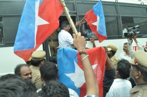 protest at luz signal on 5-7-13