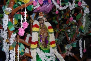 Adhi Kesava Perumal Kovil Punnaimara Vahanam