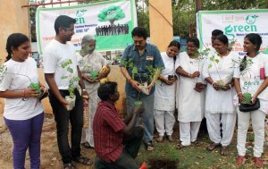 NEEM SAPLINGS (48) A