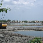 ESTUARY CLEANUP