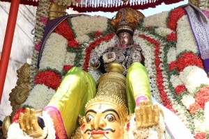 Chitirai Thiruvonam festival - madhava perumal temple