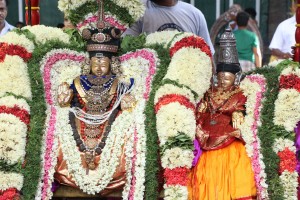 Vaigasi festival - Sri Velleswarar Temple