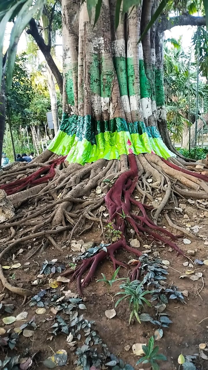 MYLAPORE TIMES - Nageswara Rao Park's central tree lends itself to art ...